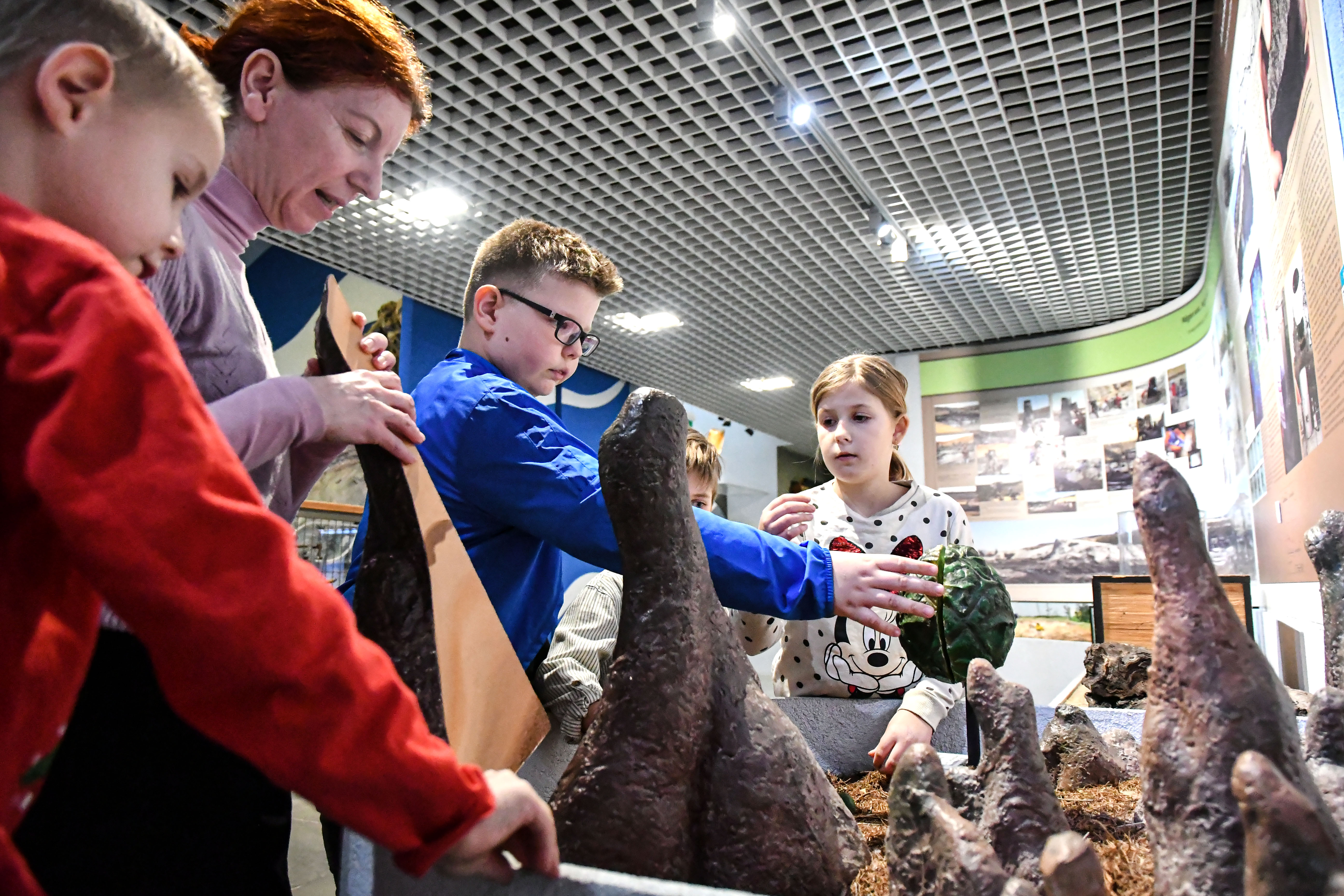 Vese világnap a múzeumban