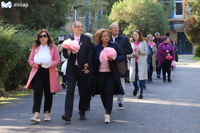 rózsaszínű séta-egyetem